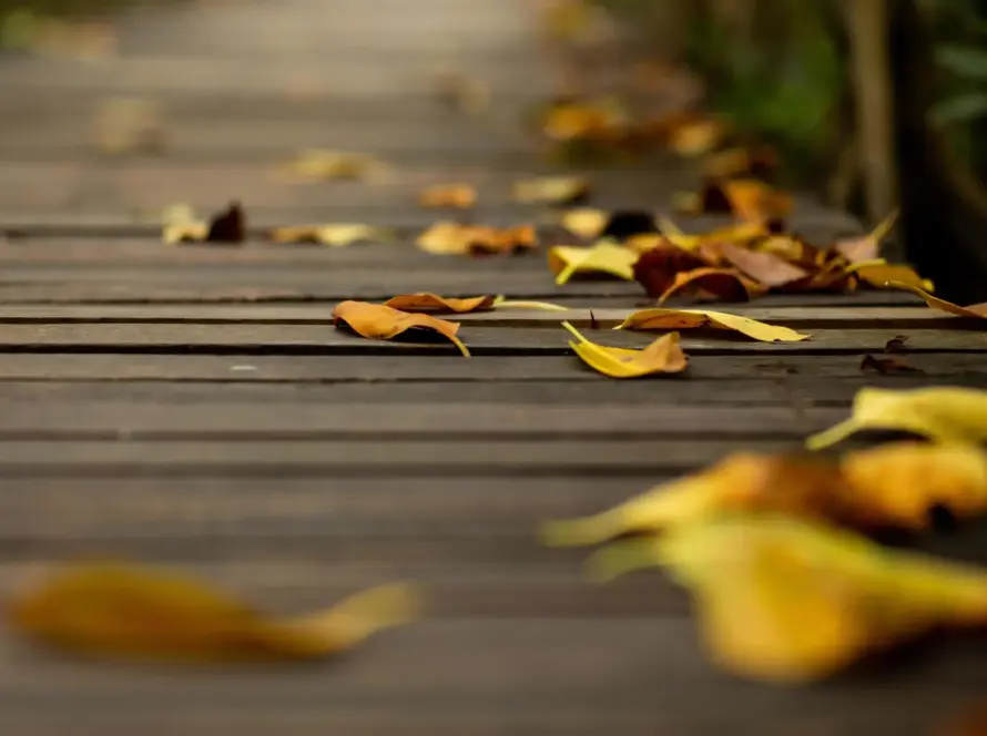Cognitive Behavioural Therapy CBT