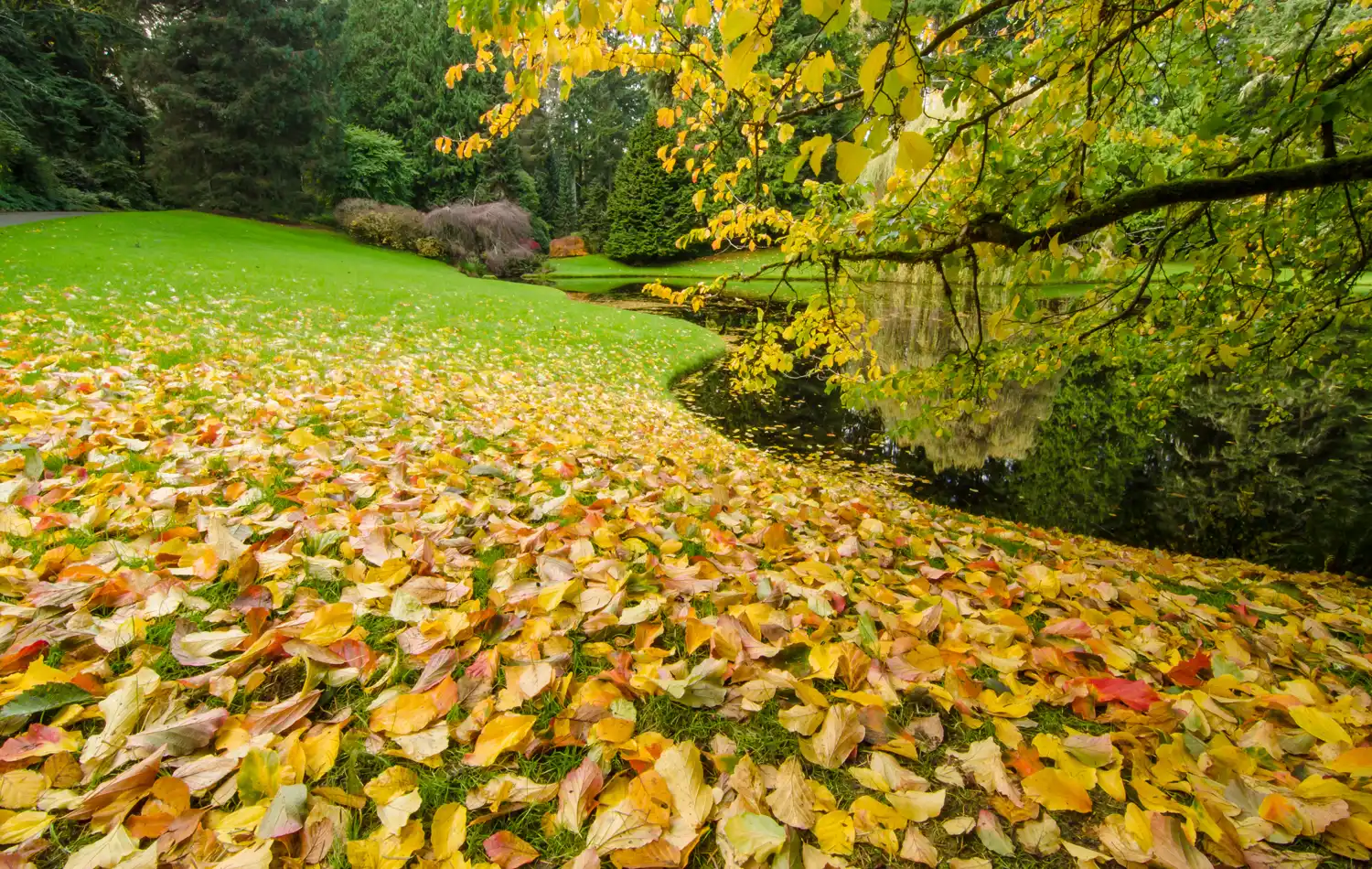 Psychodynamic Therapy | Exploring Patterns for Lasting Change