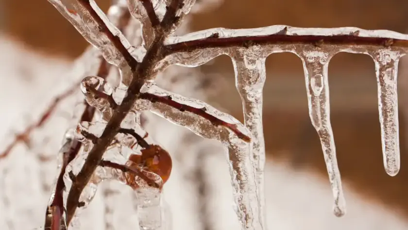 Banish sadness, sit with the light