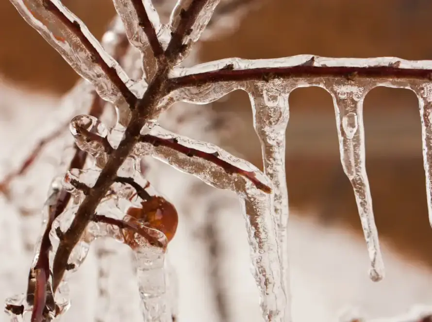 Banish sadness, sit with the light